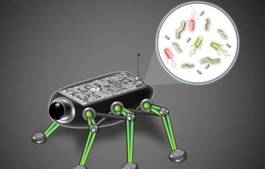 Robot chạy bằng năng lượng do vi khuẩn tạo ra
